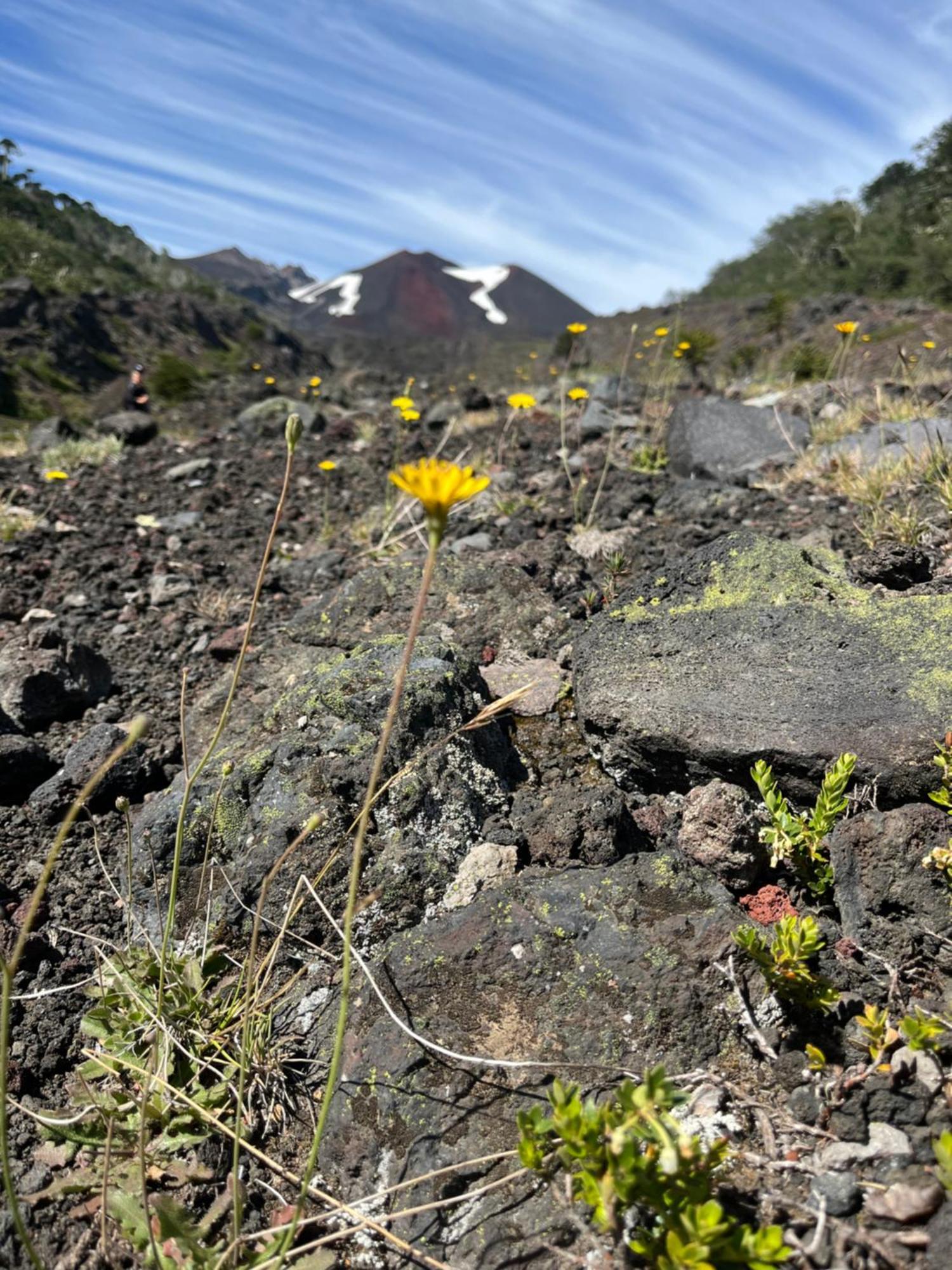 Domo Conguillio Conecta Con Tu Energia Sagrada Junto Al Salto Truful Truful Con Una Vista Majestuosa Que Podras Disfrutar En Una Tinaja Una Experiencia Que Alineara Tu Espiritu Y Tu Energia Interior Vivelo Melipeuco Buitenkant foto